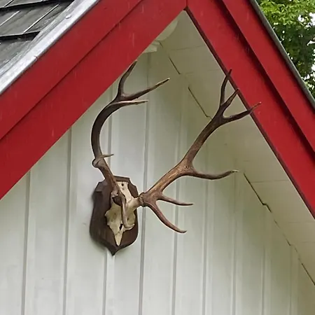 La Kabane Des Hetres Rouges Spa